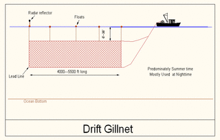 Driftnet Fishing and Its Impacts on the Philippine Marine